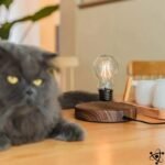 ampoule levitante magnetique design futuriste lampe 794 1