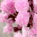 Arbre Magique Sakura pour éveiller les Enfants - Grand - Jouet