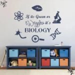 autocollants muraux biologie pour salle de classe stickers 272 1