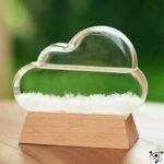 Baromètre à Cristaux Nuage élégant et Unique