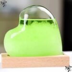 barometre forme de coeur symbole romantique decoration interieure vert 186 1