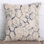 Housse de Coussin Scientifiques 45cm x 45cm avec Fermeture éclair