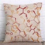 Housse de Coussin Scientifiques 45cm x 45cm avec Fermeture éclair