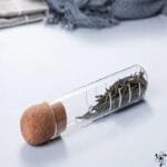 Infuseur à Thé Tube élégant pour une Infusion Parfaite - Cuisine