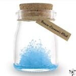 Kit de Croissance de Cristaux pour Enfants