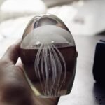 Méduse Cristallisée en Cristal Transparent œuvre D’art