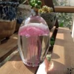Méduse Cristallisée en Cristal Transparent œuvre D’art