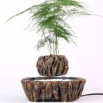 plante levitation rocher magique et elegante vase 165 1