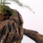 plante levitation rocher magique et elegante vase 426 1