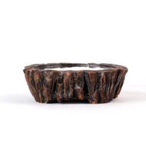 plante levitation rocher magique et elegante vase 604 1