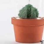 Sablier Magnétique Vert – Art Visuel Enchanteur