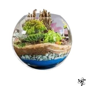 Terrarium en Lévitation Mini Jardin Technologie Magnétique - Vase