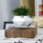 Vase Lévitant Bois Création Française Unique