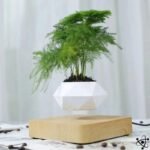 Vase Lévitant Bois Création Française Unique