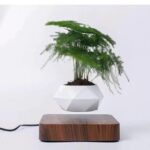 Vase Lévitant Bois Création Française Unique