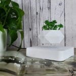 Vase en Lévitation Design épuré pour Décoration Florale - Vase