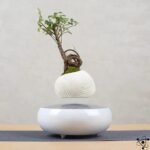 vase en levitation feng shui moderne 130 1
