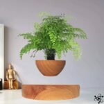 Vase en Lévitation Mini Jardin Innovant