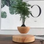 Vase en Lévitation Mini Jardin Innovant