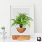 Vase en Lévitation Mini Jardin Innovant