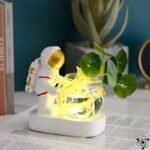 vase hydroponique explorateurs elegant et futuriste 700 1