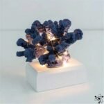 veilleuse corail bioluminescent pour interieur mauve 175 1